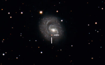 Supernova SN2025pht dans la galaxie NGC1637