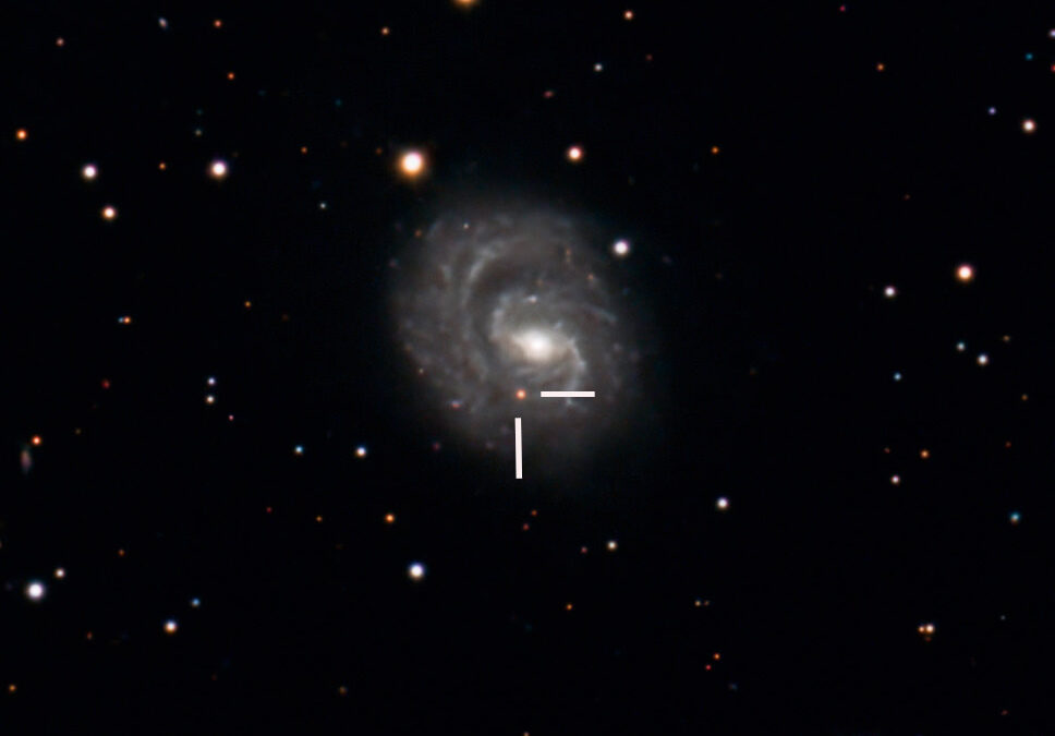 Supernova SN2025pht dans la galaxie NGC1637