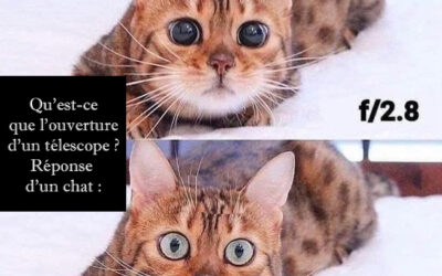 Humour