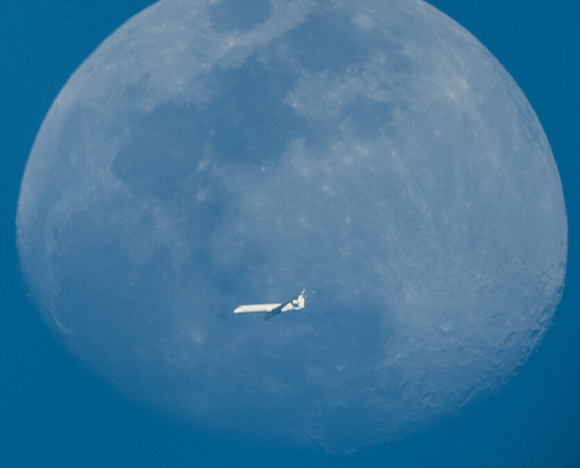 JOUR LUNAIRE 10 AVEC UN VISITEUR