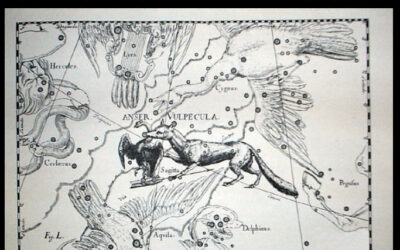 QUI A DETERMINE LES FRONTIERES DES CONSTELLATIONS ?