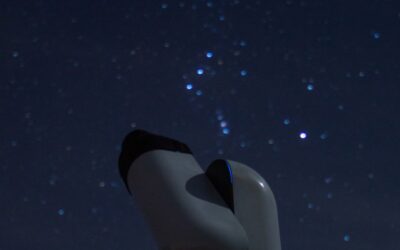 COMMENT NOMME-T-ON LES EXOPLANETES ?