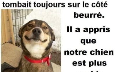 UN PEU D’HUMOUR ASTRONOMIQUE…