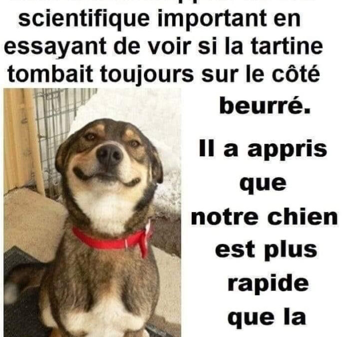UN PEU D&rsquo;HUMOUR ASTRONOMIQUE…