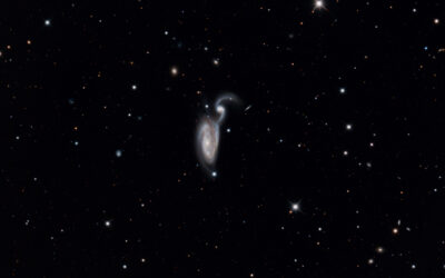 LES GALAXIES DU HERON