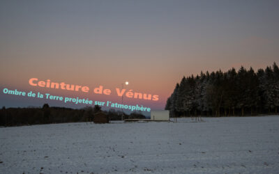 LA CEINTURE DE VENUS