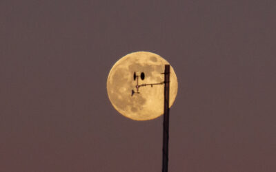 LA GIROUETTE ET L&rsquo;ANEMOMETRE