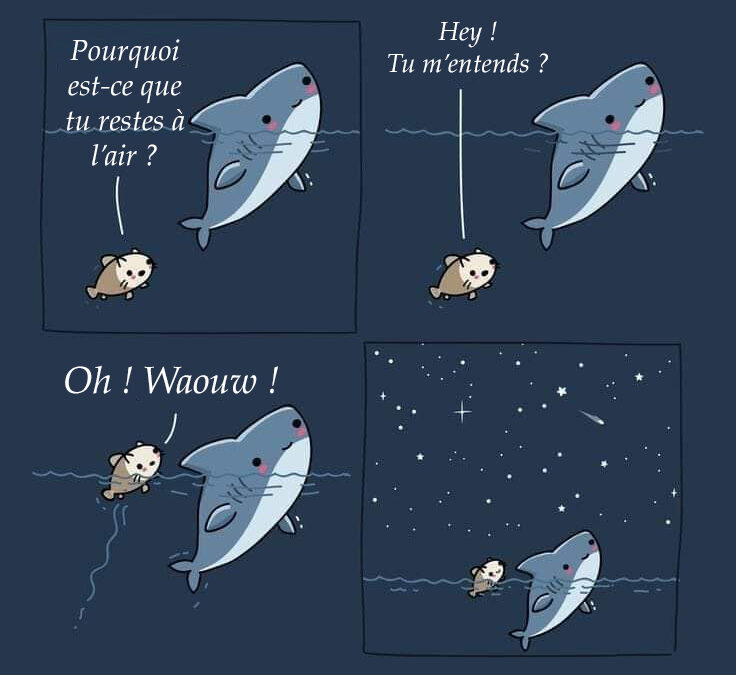 Citation astronomique…20